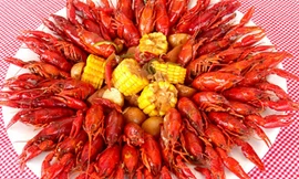 Tuy nhiên, loại tôm này hiện được nuôi ở hơn 20 quốc gia như Mỹ, Australia, Anh, Thụy Điển, Phần Lan, Na Uy, Pháp, Tây Ban Nha, Thổ Nhĩ Kỳ, Trung Quốc…