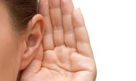 Ù tai cảnh báo bệnh gì?