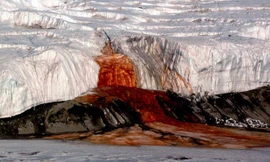 Dòng nước đỏ như máu chảy ra từ sông băng ở Nam Cực. (Ảnh: World Atlas).