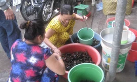 Đỏ mắt tìm mua cua đồng