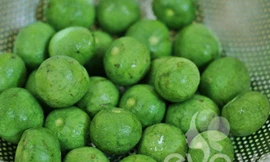 Sấu đem cạo vỏ chứ không gọt, rửa sạch, để thật ráo nước trước khi cho vào tủ bảo quản