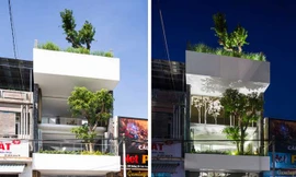 Nhà phố giống như ốc đảo xanh ở Nha Trang