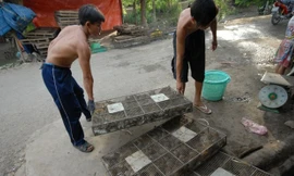 Đi chợ chuột lớn nhất miền Tây