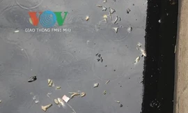 Cá chết nổi trắng trên mặt nước đen ngòm