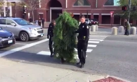 Người đàn ông hoá trang thành cây giữa đường