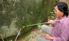 Cua núi chỉ xuất hiện trong những tháng mùa mưa. Người dân tranh thủ săn loài này để phục vụ cho các nhà hàng, quán nhậu. Ảnh Ngọc Trinh. 