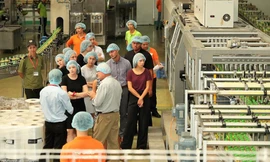 Đoàn viên quốc tế của chương trình Học kỳ trên biển – Semester at Sea tham quan nhà máy Tân Hiệp Phát ngày 15/11 vừa qua