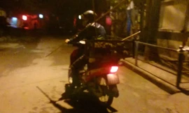 Hàng đêm những người thợ săn chuột cống lần mò khắp thành phố để săn chuột.