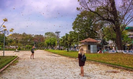 Những khoảnh khắc giao mùa lãng mạn ở cố đô Huế