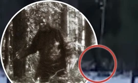 Hình ảnh sinh vật được cho là quái vật chân to.