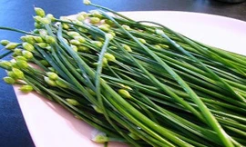 Cách hay ngừa ung thư từ lá hẹ