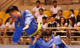 Vovinam đã có bề dày lịch sử và quá trình phát triển rộng rãi.