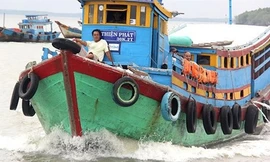 “Sát thủ” cá mập Sáu Kén ở Phú Quốc