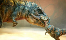 Khủng long bạo chúa được cho là có phần mũi rất nhạy cảm. Ảnh: Dinosaurlive.