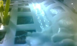 Hình ảnh hạt nảy mầm bên trong tàu đổ bộ Mặt trăng của Trung Quốc