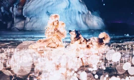 Những khoảnh khắc 'hiếm có khó tìm' tại hồ nước ngọt sâu nhất thế giới