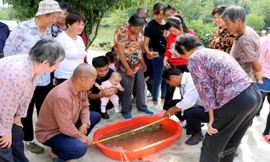 Nông dân bắt được kỳ giông khổng lồ, dài hơn 1m