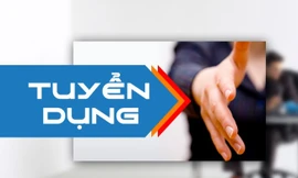 Thông báo tuyển dụng viên chức năm 2019