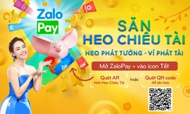 Zalopay tăng trưởng 400% sau chương trình tết Kỷ Hợi 