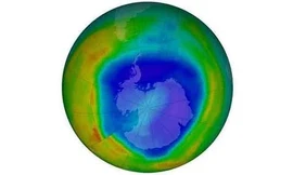 Hình ảnh tầng ozone được ghi lại hôm 7/9. Ảnh: NASA.