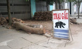  Một tấm biển được chưng ngay giữa đường để khách tiện thấy.