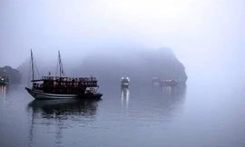 Săn ngay hai tour đi Quảng Ninh siêu ưu đãi từ Sài Gòn, Đà Nẵng