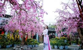 “Loa phường” Quỳnh Kool đáng yêu trong tà áo dài đón Xuân