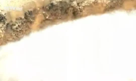 Suối nước khoáng bất ngờ bốc lửa