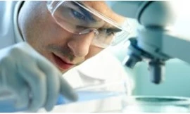 Tác dụng phòng ngừa cảm cún của Probiotics 