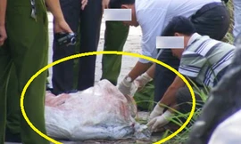 Ảnh minh họa: Internet