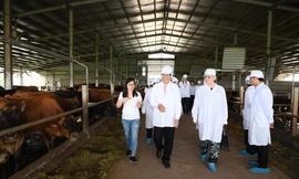 Chính nhờ sự hợp tác khắng khít giữa Sữa Cô Gái Hà Lan và các đối tác mà dự án ngày càng phát triển, tạo lập nên những giá trị tốt đẹp cho cả cộng đồng