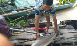 Ông Hùng bên con cá lạ vừa bị dính câu