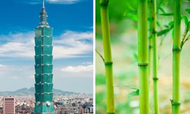 Những tòa nhà nổi tiếng lấy cảm hứng từ cây cỏ