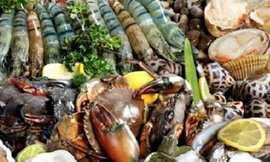 Điểm mặt những loại hải sản ăn là nhập viện, tử vong