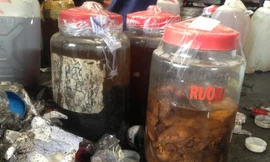 Rượu tự ngâm không rõ nguồn gốc dễ gây ngộ độc cho người dùng