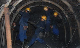 Nhọc nhằn xẻ lòng đất để kiếm “vàng đen” - Ảnh: Phan Hiện/ Thanh Niên