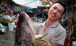 Người dân bắt được cá lăng hơn 20 kg ở Điện Biên