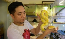 Rùng mình ngắm bộ sưu tập rắn khủng của chàng trai 8X Hà Nội