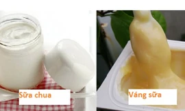 Giá trị dinh dưỡng của sữa chua và váng sữa