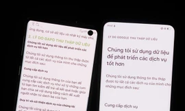 Nghi vấn mạng xã hội Gapo sao chép chính sách bảo mật của Google 