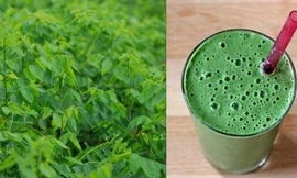Những công dụng tuyệt vời của rau ngót