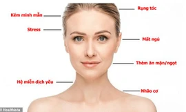 Đạm là chất dinh dưỡng vô cùng cần thiết cho sức khỏe.