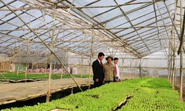 Agribank – Vì tương lai xanh