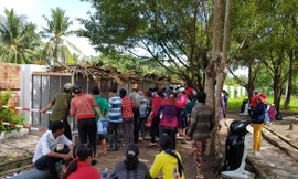 Du khách bàn tán cặp rắn hổ mây ở mọi lúc mọi nơi