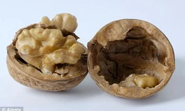 Hạt óc chó thực phẩm dinh dưỡng giảm nguy cơ ung thư