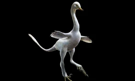 Ảnh phục dựng của con khủng long sở hữu thân hình thiên nga, mỏ vịt, răng cá sấu, chân đà điểu và những móng tay sát thủ - Ảnh: AP