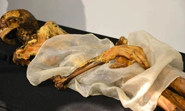 Xác ướp công chúa Ukok. Ảnh: Alexander Tyryshkin/Siberian Times