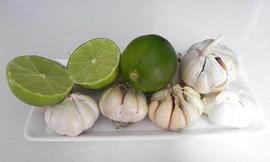  Nguyên liệu bài thuốc.