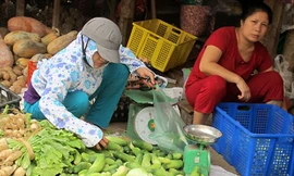 Đảm bảo thực phẩm an toàn là trách nhiệm của nhà sản xuất và người tiêu dùng trong chuỗi liên tục của thực phẩm từ nông trại đến bàn ăn. Ảnh: N.Phương. 