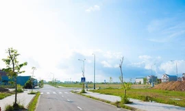 Đất nền là phân khúc sẽ tiếp tục dẫn dắt thị trường trong năm 2019.